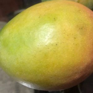 Meet your Posher, Janet